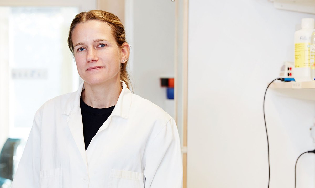 På söndag hejar vi på Anna Falk, stamcellsforskare vid KI, som tävlar i SVT:s #Genikampen ki.se/forskning/anna…