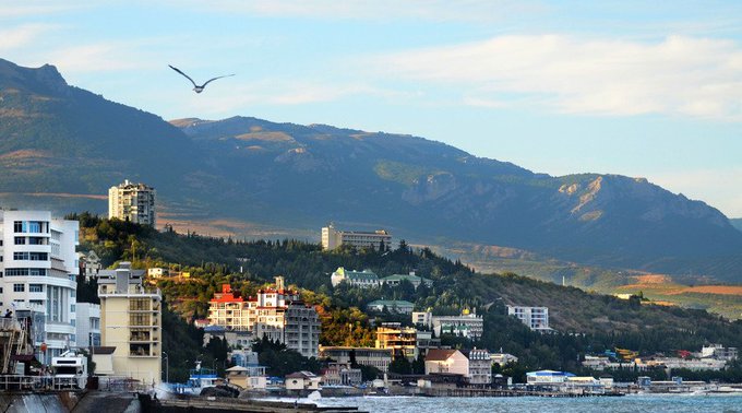 View image on Twitter