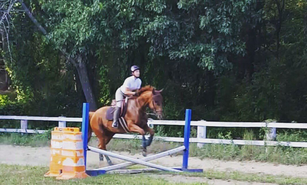 leszkomackenzie's tweet photo. Horses give us the wings we lack https://t.co/2GLLVMAAf7
