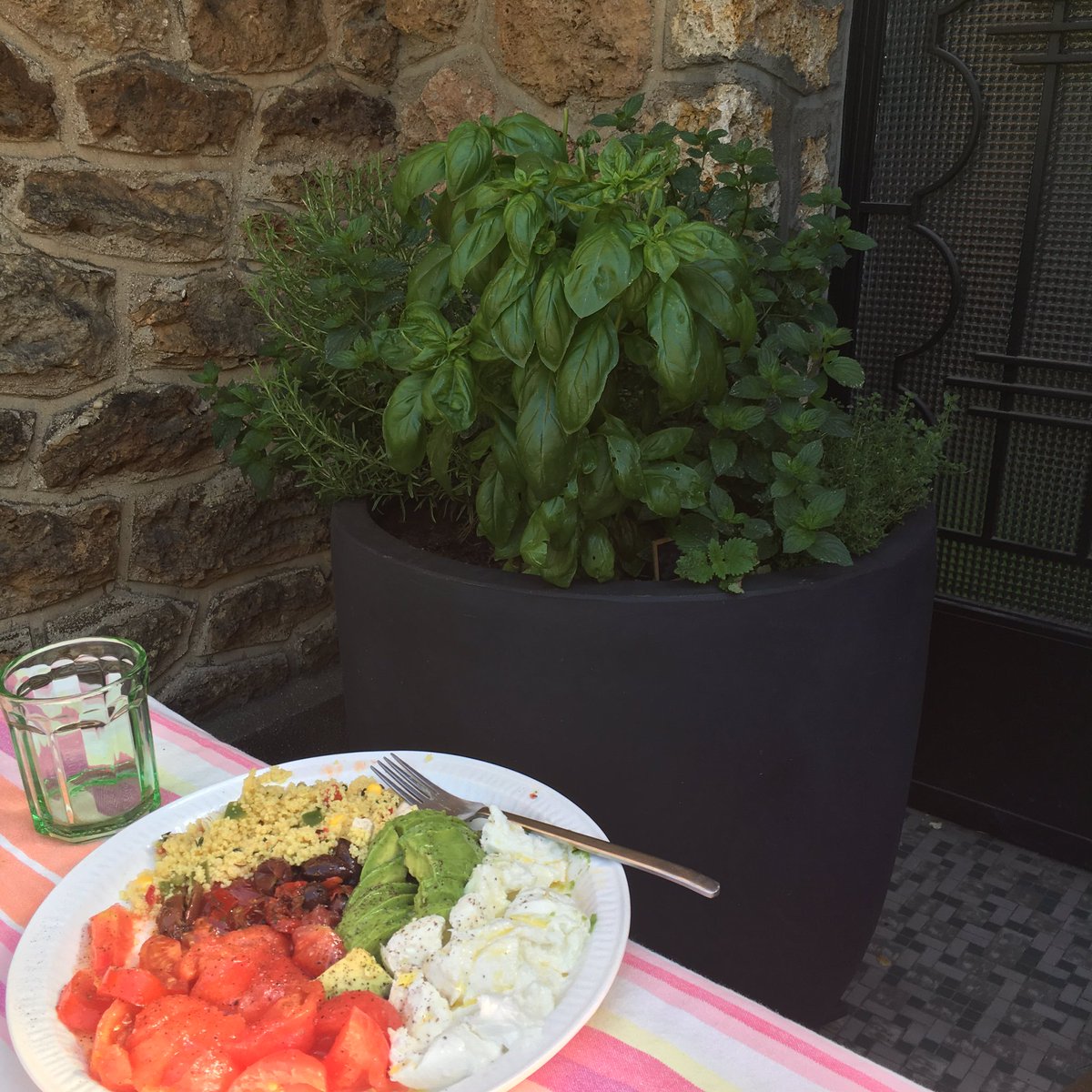 Kiff extrême se servir directement à la source! Miam miam#plantesaromatiques