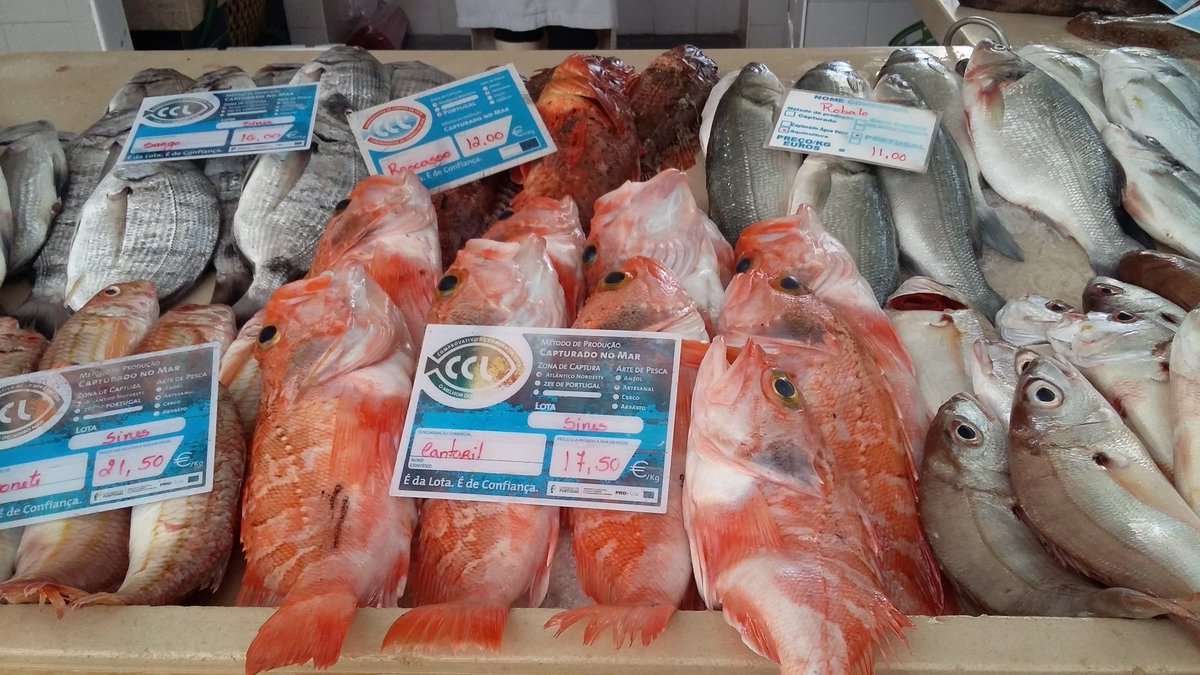 Carla Sofia tweet media