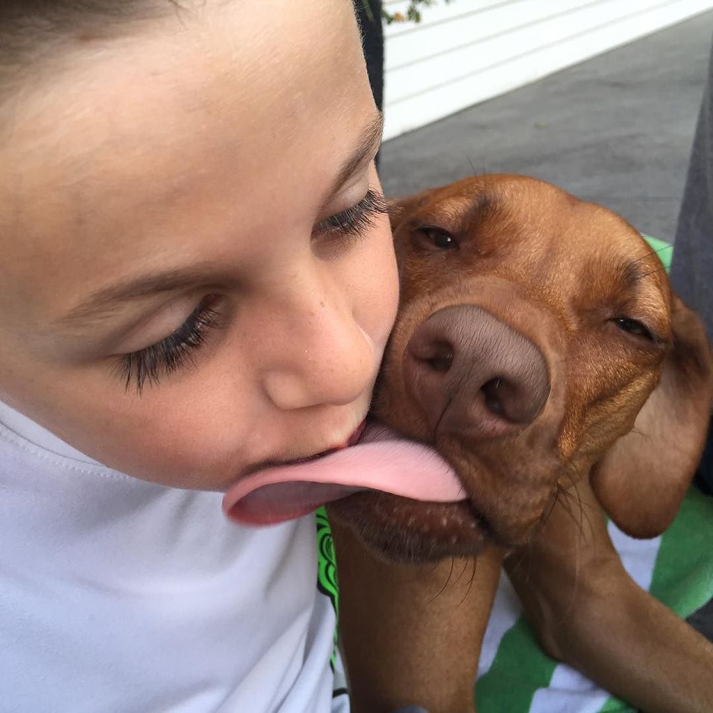 TinaSeitzinger's tweet photo. What happens when you try to give your puppy a kiss before heading off to school 😂 #boyand… https://t.co/BFKO6EYD9Z https://t.co/LattkbbK1o