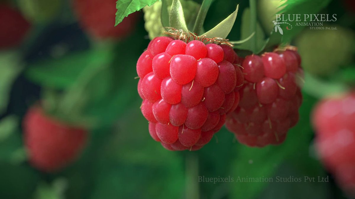 Blender Network Twitter