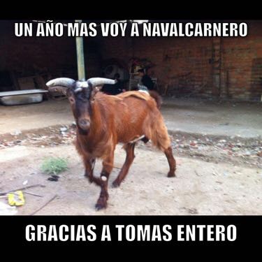 jorge_mz96's tweet photo. @TomasEntero eres un autentico sinvergüenza cada año nos undes mas, no entiendo el motivo, solo pido respeto. https://t.co/hCoksoiDGU