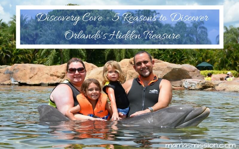 MamasMission's tweet image. Discovery Cove - 5 Reasons to Discover Orlando's Hidden Tr wp.me/p2yKTF-71G #florida #travel #withchildren