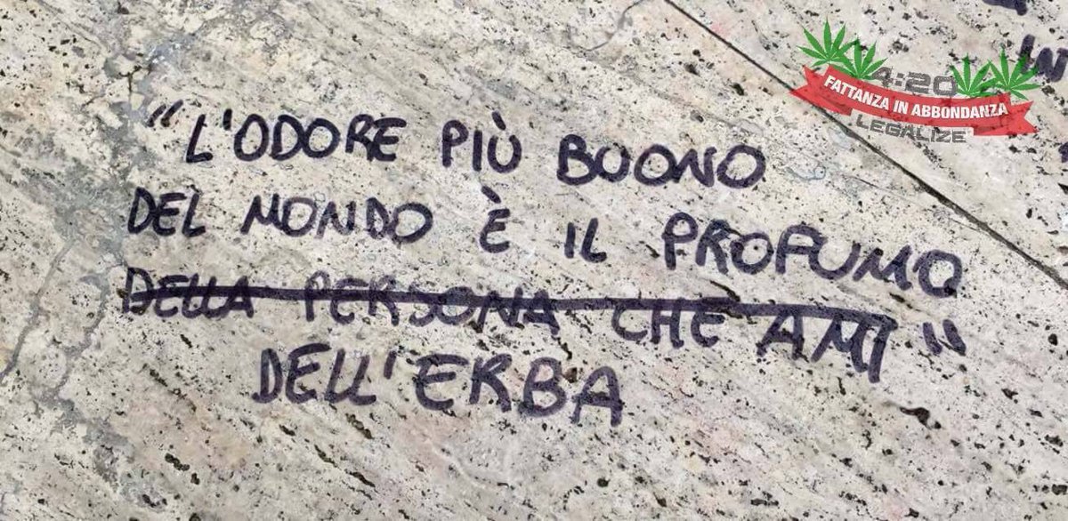 FamousTumblr's tweet image. 