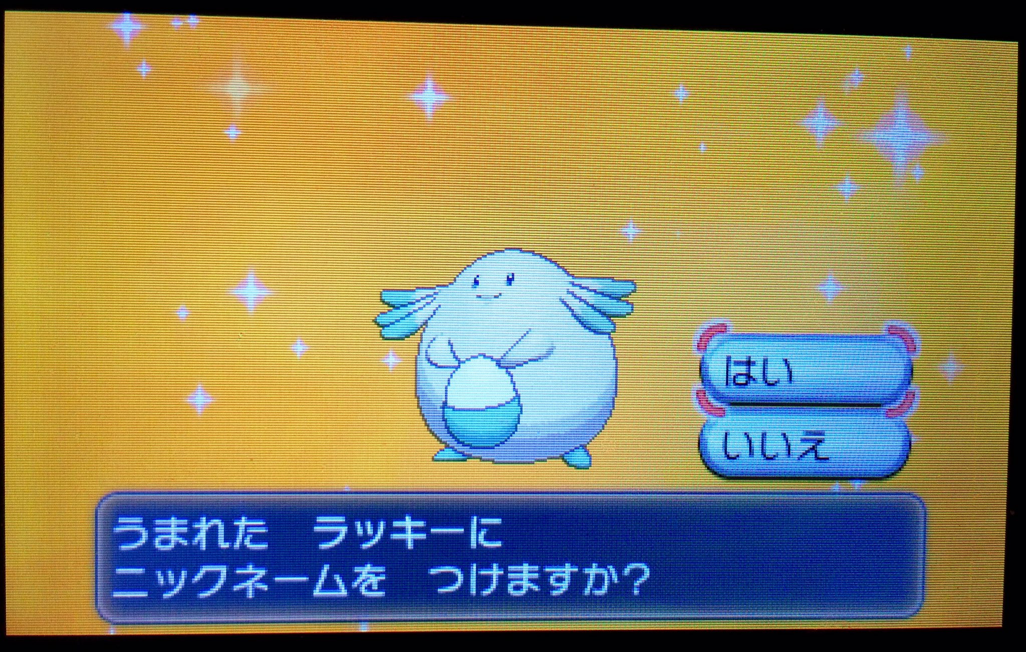 まお ポケモンx ソード Tn マオ Al Twitter ラブボラッキーを孵化したら1個目でまさかの色違い爆誕しましたw 個体値と性格は 微妙だったけどねw 色違いラッキーかわいいです 色違いポケモン 国際孵化 T Co Y5u8eybgss Twitter