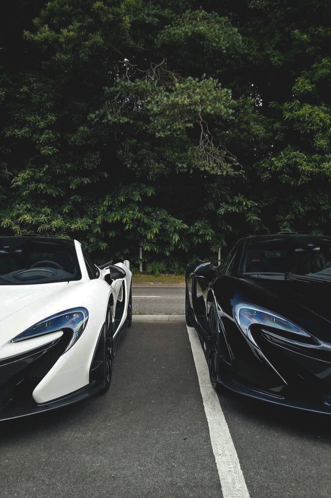 NextLevelLux's tweet image. White or black?