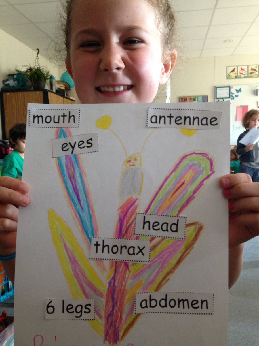 StemAndRoots's tweet photo. Challenge: Invent an insect that has 6 legs, head, thorax, abdomen, 2 antennae, mouth and eyes! #InsectInvestigation https://t.co/uY2NyaUTkk