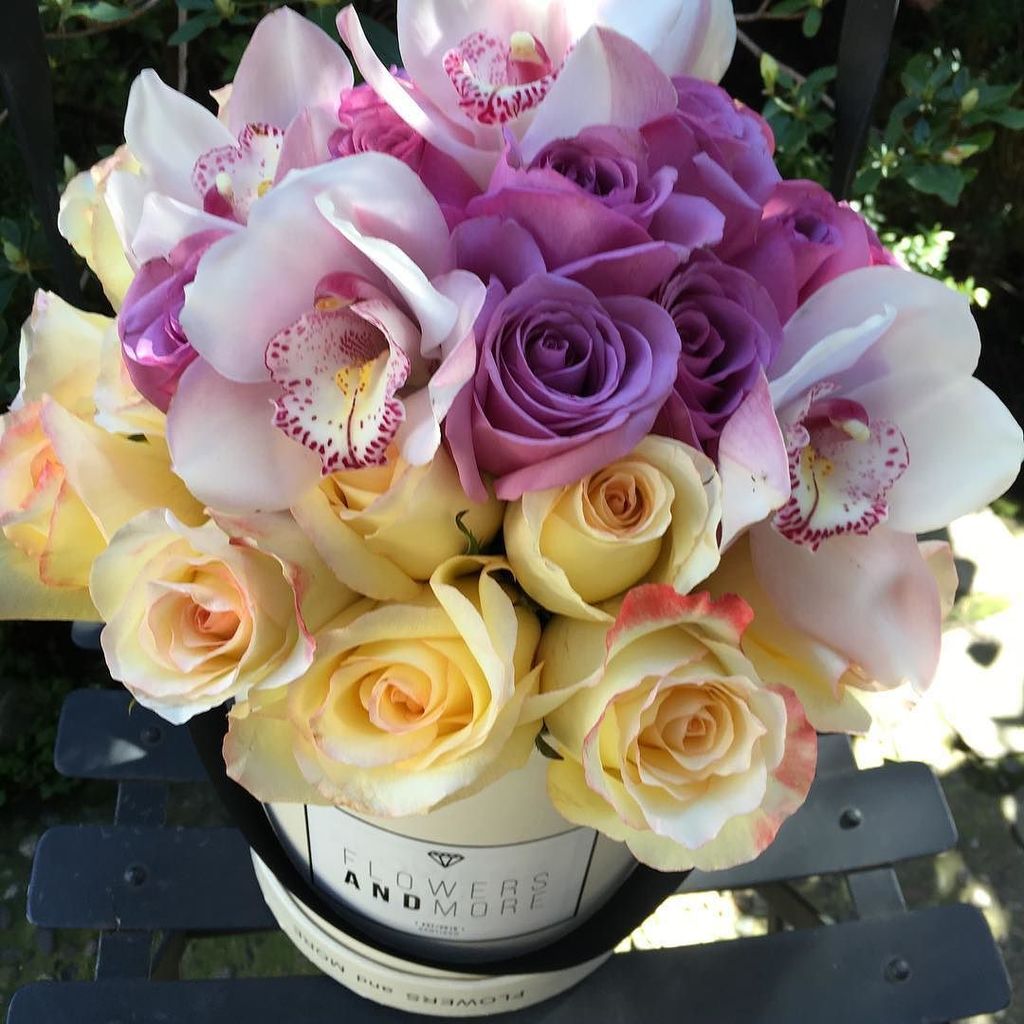 Flowers_stgo's tweet photo. Rosas y Orquídeas para regalar hoy a nuestros fieles seguidores #rosas #orquideas #FLOWERB… https://t.co/NMvba5s0Fu https://t.co/eg0qL3dUtQ