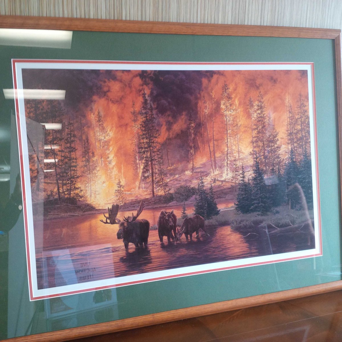 PamelaMusgrave's tweet image. Thx to Dave for the donation of 6ire print We will auction off later during trade show #firecon2016