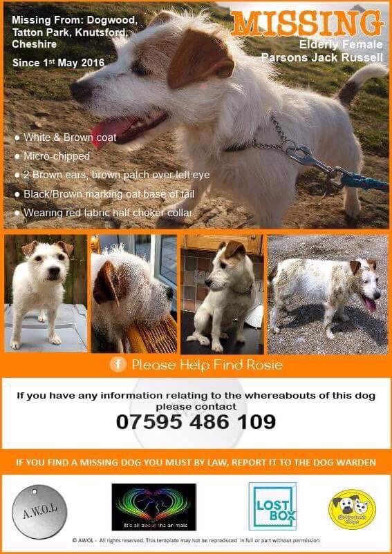 LisaLisaw1's tweet image. Please RT #FindRosie #MissingDog 01/05/16 #Knutsford #Cheshire WA16 #ScanMe @LostboxUK @RSPCA_official @DogsTrust TY
