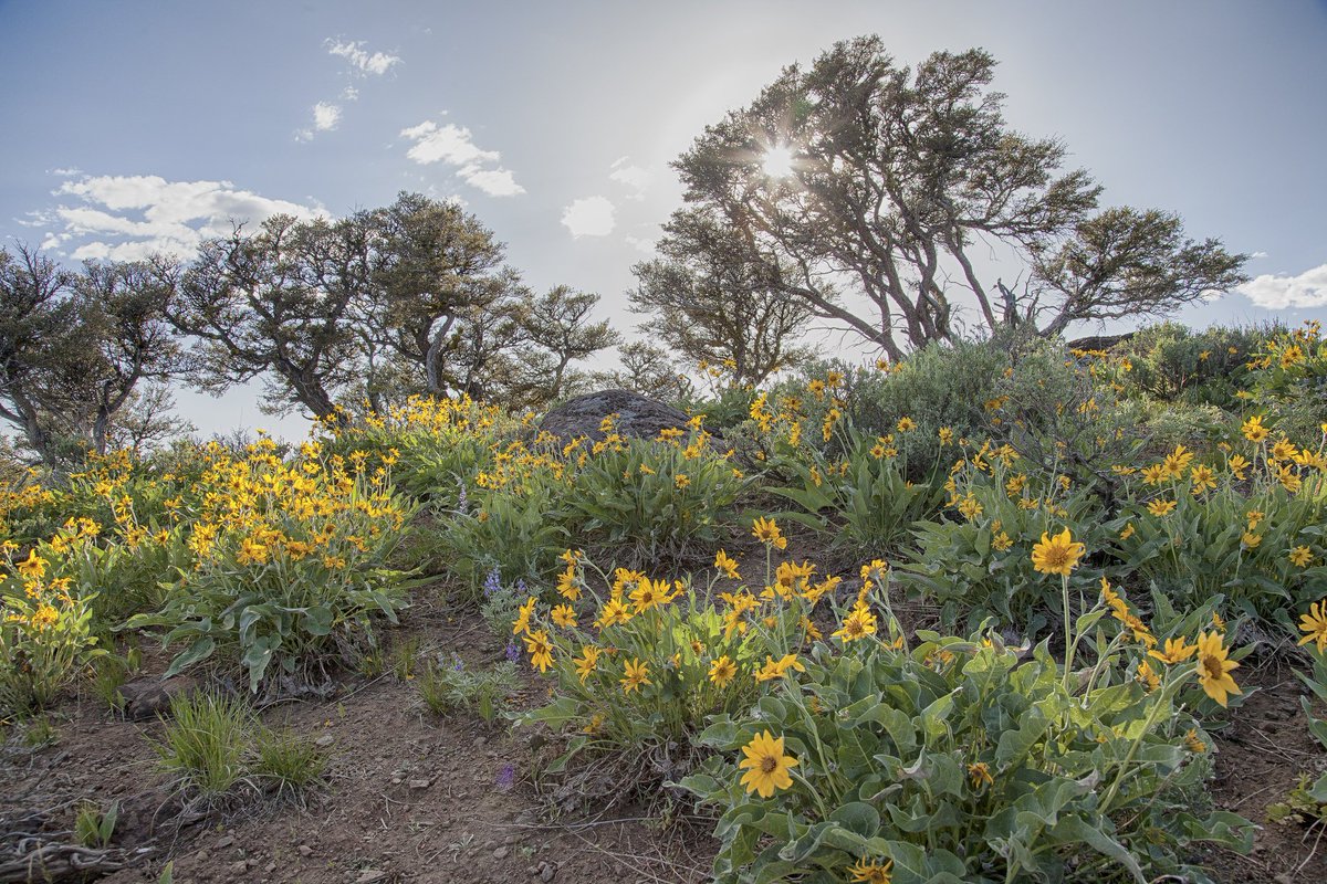 Steens Mountain, southeast Oregon