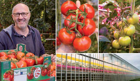 Horti Daily (@hortidaily) on Twitter photo "Sevance is great for a generative strategy" <a href="/DeRuiterSeeds/">De Ruiter Seeds</a>
hortidaily.com/article/28713/… "Sevance is great for a generative strategy" <a href="/DeRuiterSeeds/">De Ruiter Seeds</a>
hortidaily.com/article/28713/…