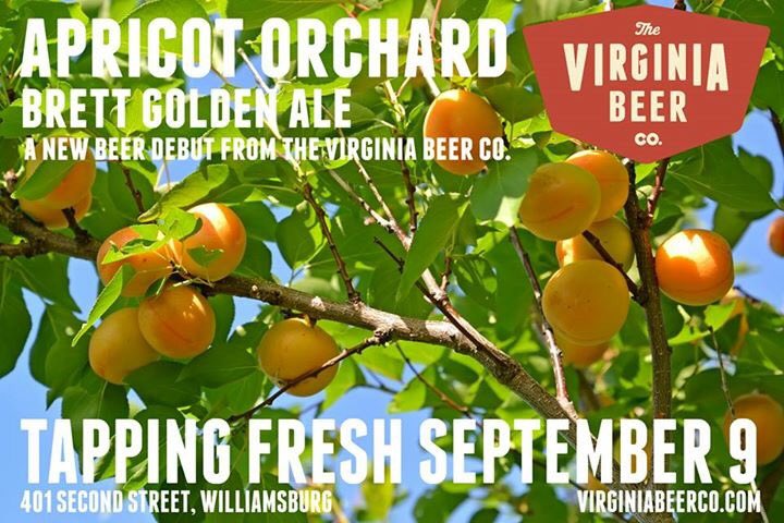Virginia Beer Co. (@virginiabeerco) on Twitter photo That's today! New 100% Brett release with yeast from <a href="/RVAYeastLabs/">RVA Yeast Labs</a> + fermented on apricots!
untappd.com/b/the-virginia… That's today! New 100% Brett release with yeast from <a href="/RVAYeastLabs/">RVA Yeast Labs</a> + fermented on apricots!
untappd.com/b/the-virginia…