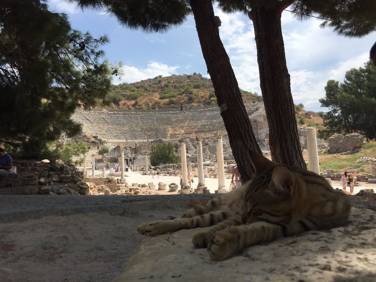 MBilalKenasari's tweet image. @ #Ephesus #LibraryofCelsus