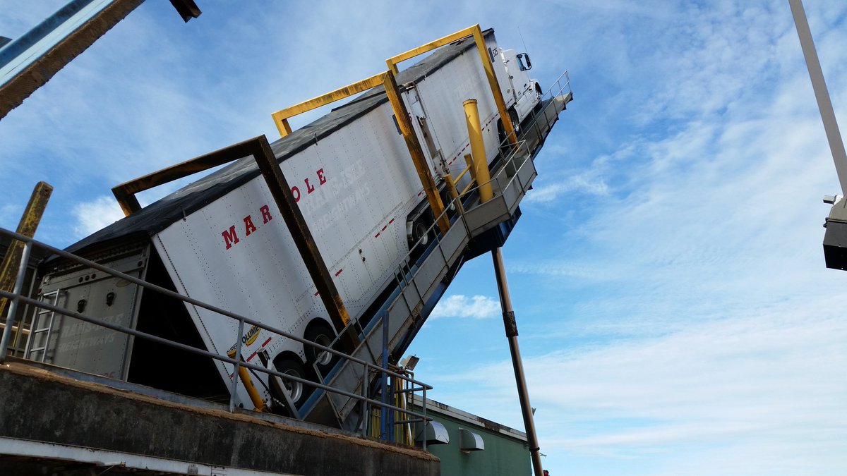 DreamTrucking's tweet photo. Hauling woodchips to #Harmac. Am I allowed to be over 85ft? #woodchips #overlength #trucking #volvo #volvotrucks https://t.co/ywL6sQKON1