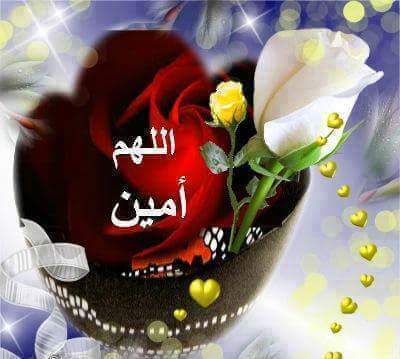 1zahra0's tweet photo. @AHawelo https://t.co/inNxdBODwZ