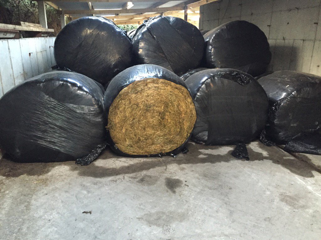 AidanAidanmc's tweet image. And so it begins(a bit earlier than I'd like!) #winter16