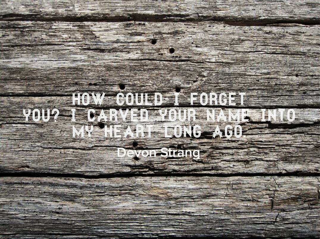 devonstranger's tweet image. #dailyhaiku 402 by #devonstrang
#poetsoftwitter #writersoftwitter #poem #poetry #write #writing #writeyourselfalive