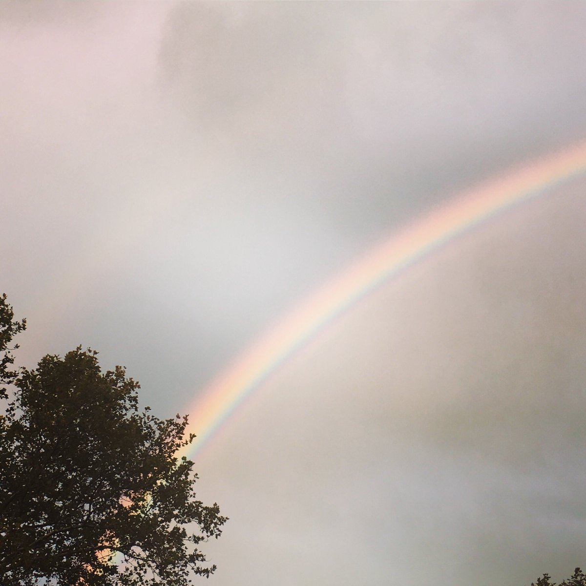 nickcropp's tweet photo. Coloured stripes https://t.co/IuV5vRyrgz