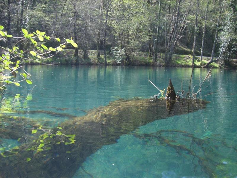 Una #refrescante #imagen de las Fragas do Eume en #Pontedeume. #Galicia
+info: disfrutadegalicia.com/2012/Disfruta/…
#FelizFinde