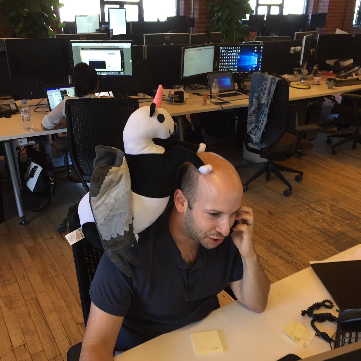 agardner's tweet image. @shaelfryer working away with an @IndexExchange #pandacorn on his shoulder nbd