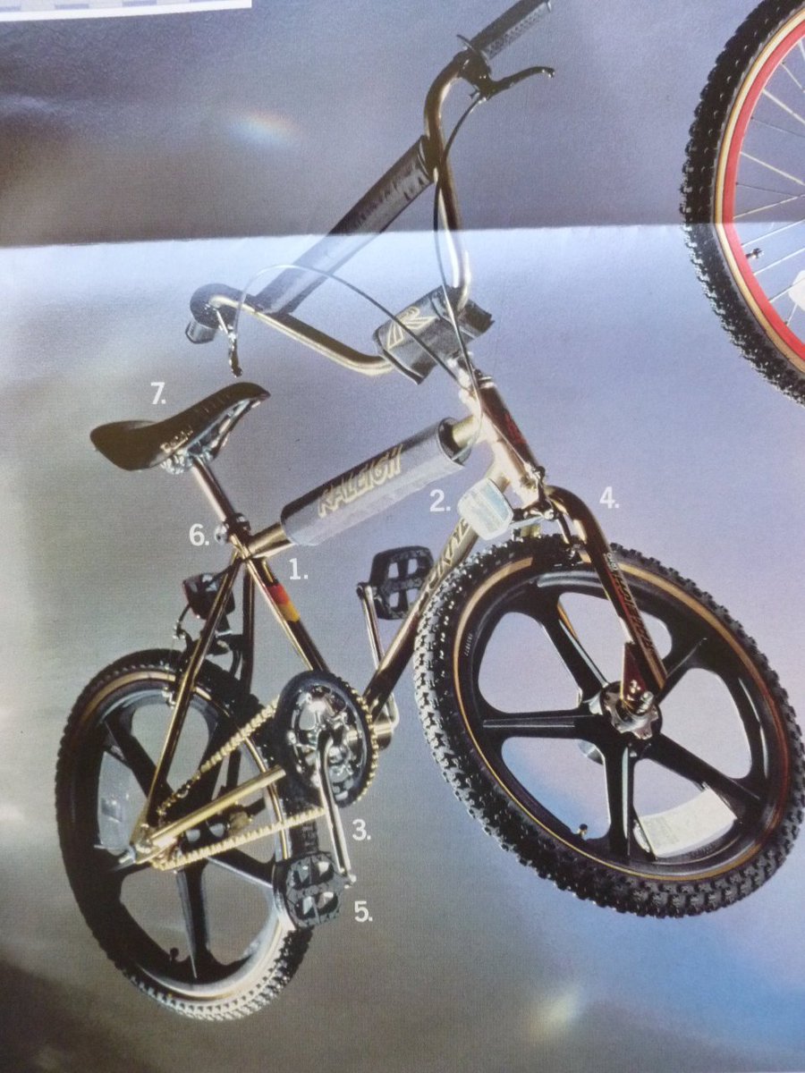 raleigh burner mag wheels