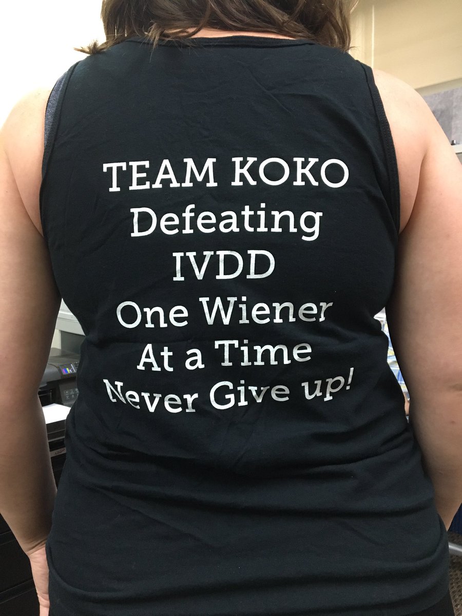 CLHRescue's tweet photo. My friend in NYC is representing at the gym! Yay for Team Koko! #ivdd #adoptdontshop #rescue #daschunds #teamkoko https://t.co/XiOrsMDzbU