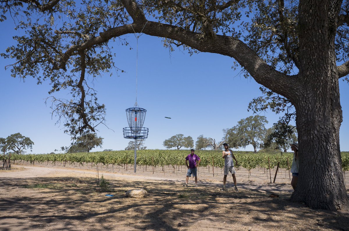 The perfect #SundayFunday during #CaliforniaWineMonth = disc golf &amp; wine tasting at <a href="/castorocellars/">Castoro Cellars Vineyards & Winery</a>
#VisitSLOCounty