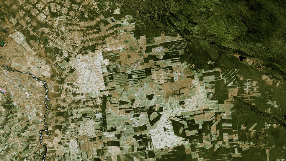 Gizmodo's tweet image. Our planet suffered a "catastrophic" loss of wilderness in just two decades gizmo.do/p554XZL