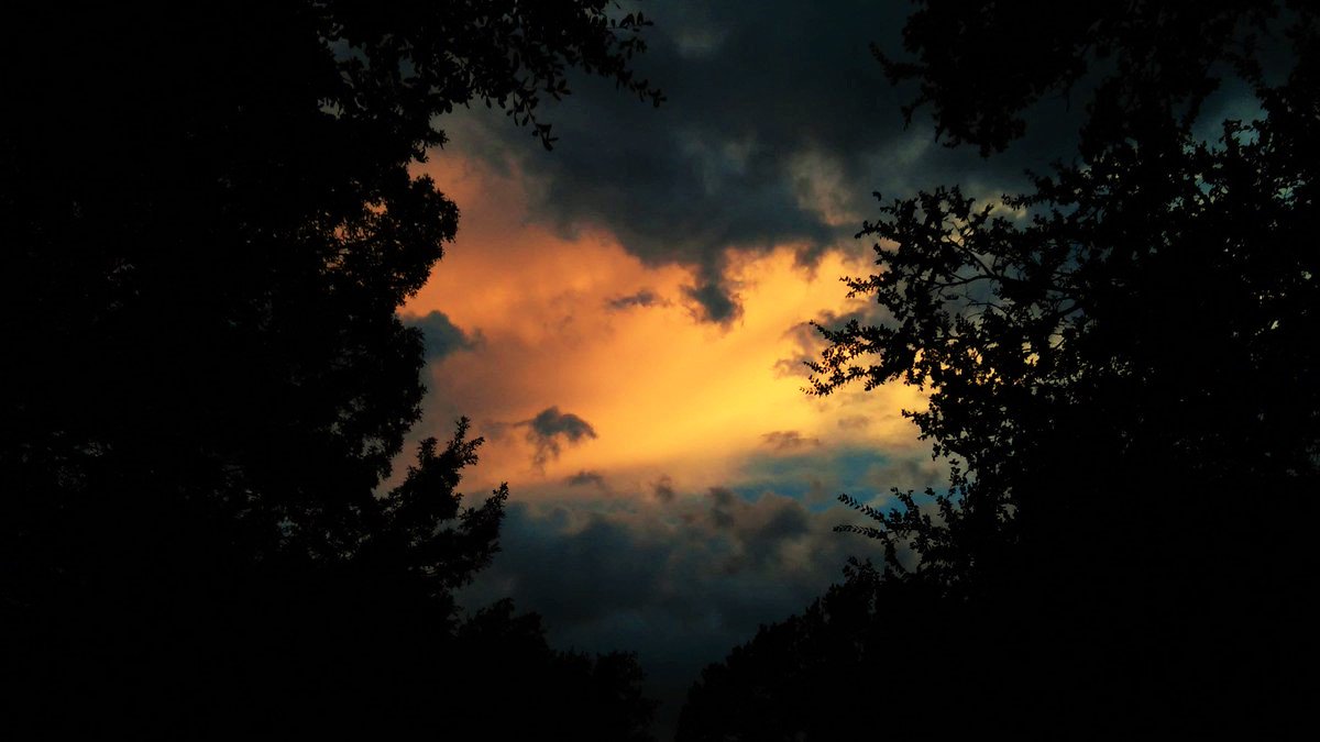 evasurga's tweet image. WELCOME TO THE SOCIETY OF THE CAT PEOPLE FOUNDED 886 CS • SET PAGE IN 'TWEETS AND REPLIES' MODE TO VIEW ALL TWEETS