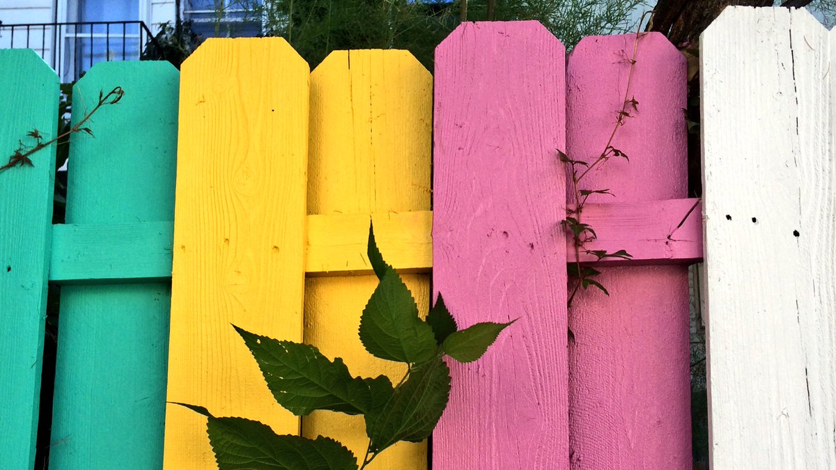 Je vous présente ma nouvelle ruelle verte préférée sur mon compte Instagram oiseaudeville #villeray