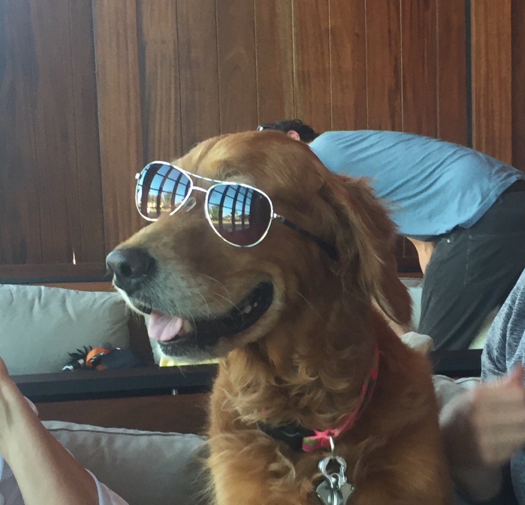 kels_patterson's tweet image. Thanks to all the COOL CATS who came out to the @SavingHopeTx Happy Hour at Kent &amp;amp; Co!! #DailyDaily