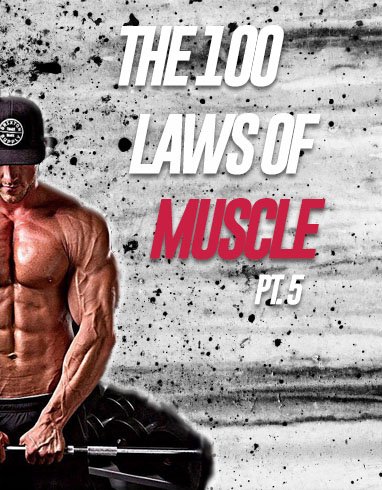 coldapachetech's tweet image. Sweet #fitness #ebook design we worked on recently.