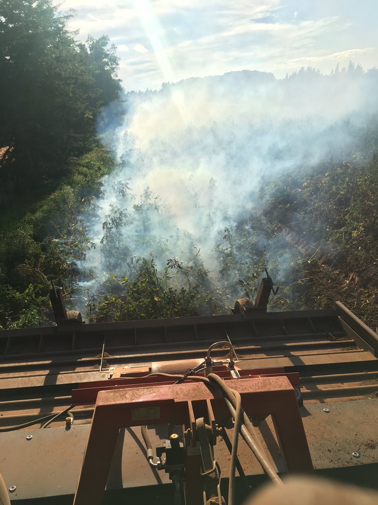 Burn baby burn #organicfarming