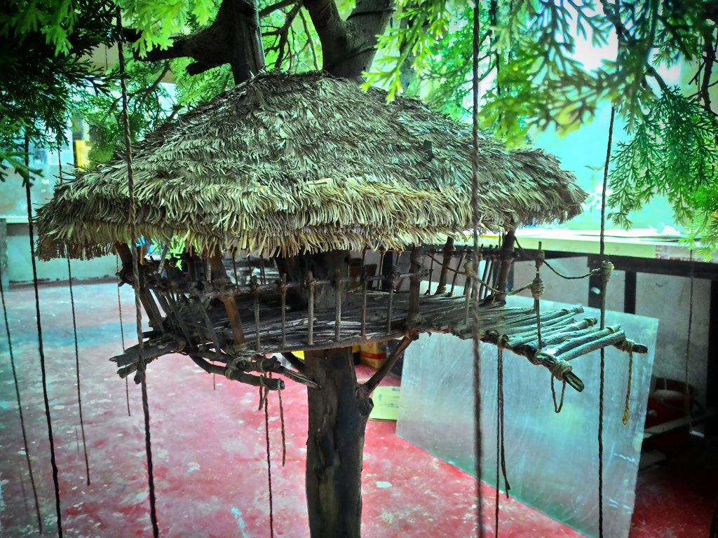 shiramakie's tweet photo. close up pic for miniature tree house that i built..
😄😊😍😘😉
#doneproject #onemonth #miniature #treehouse #happy https://t.co/UKqrVWQ374