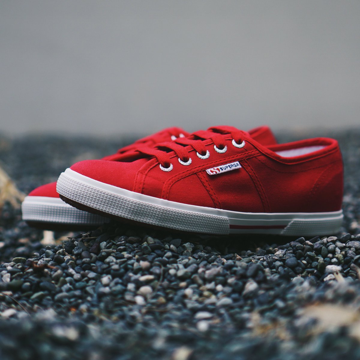 cerise superga