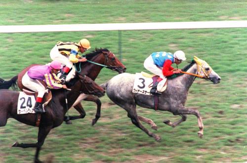 89年のダービー馬、ウィナーズサークル死亡・・・繋養先で老衰、30歳コメントする スーパーホースマン