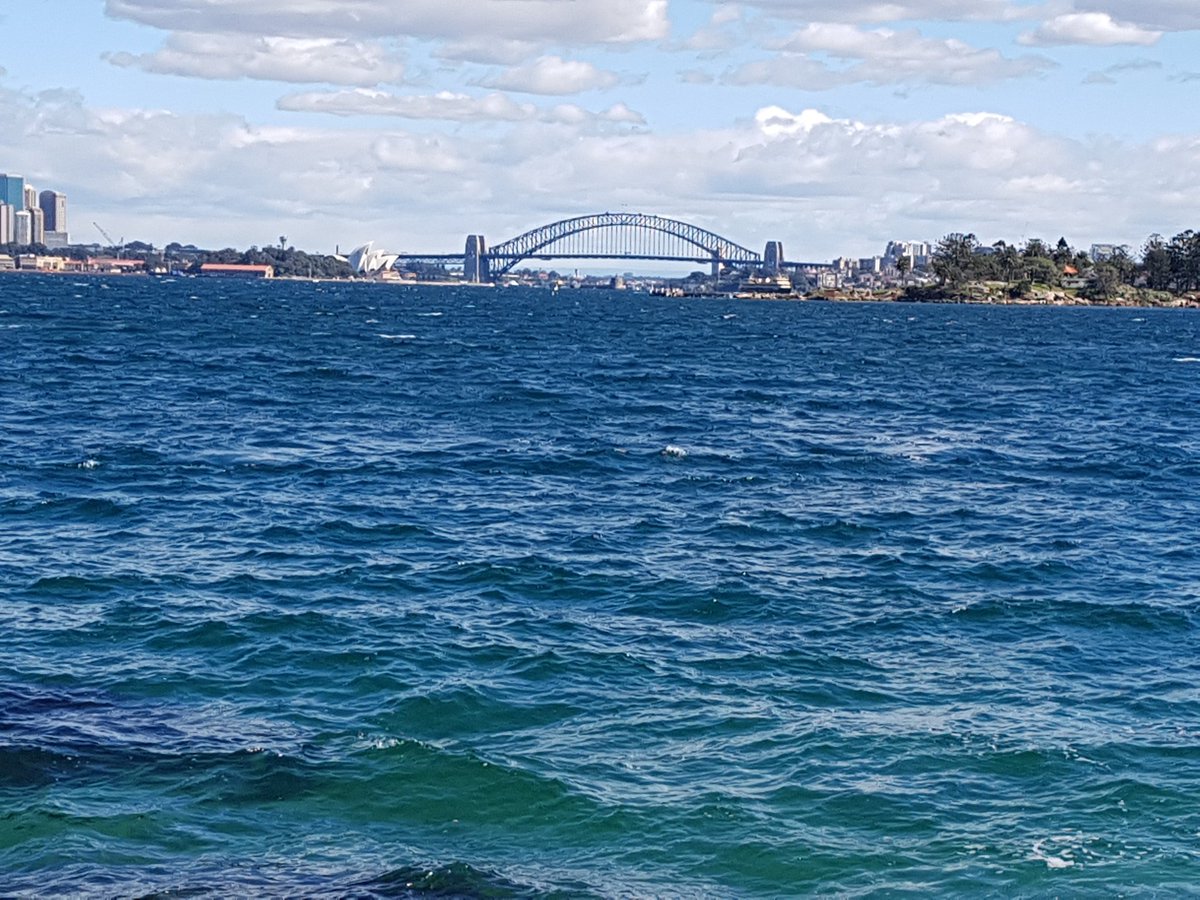 Shorelog's tweet image. Sailing #Sydneyharbour first day of spring