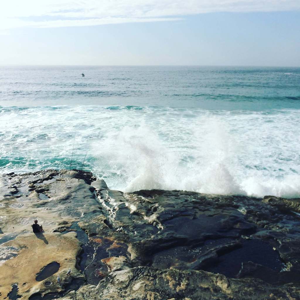 fishfeedr's tweet photo. #Rock #Fishing #Safety - Live to Fish Another Day https://t.co/cm52zwxRWw https://t.co/lWbbaKhmYx