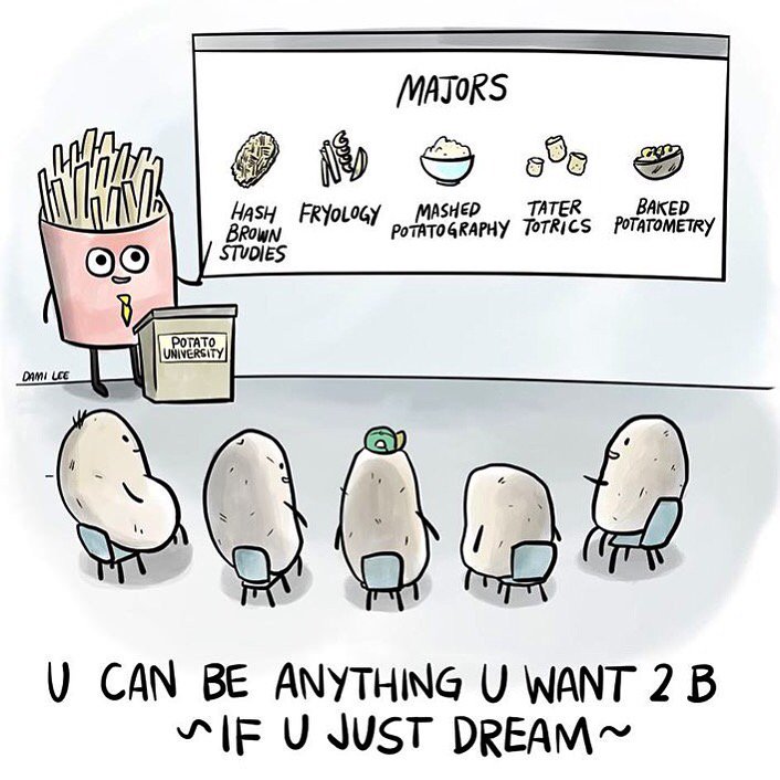 Macaroni Media tweet media