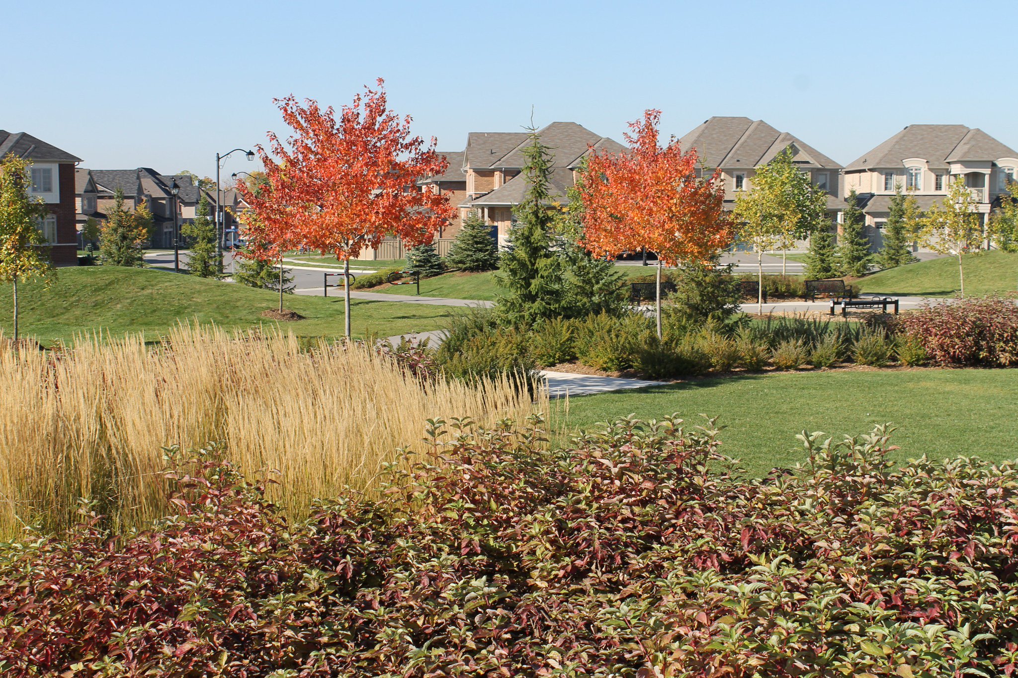 Landscape Ontario on Twitter "Bruce Wilson Landscaping 2016 National