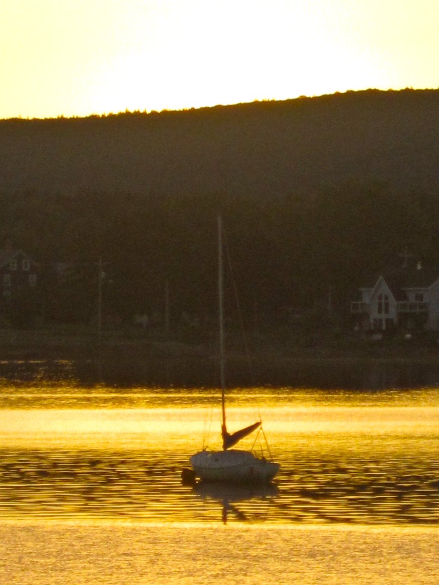 ArtsUnleashed's tweet image. The sun has set on another #ArtsUnleashed. Thanks to all of the folks who came out over the past 9 days. C U in 2017