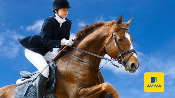 AvivaCanada's tweet image. MB &amp;amp; SK: Pleased to launch mortality, medical &amp;amp; surgical ins. for #horses with @HEPInsurance bit.ly/HEP-MbSk