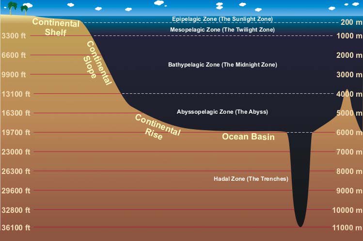 mariana trench diagram