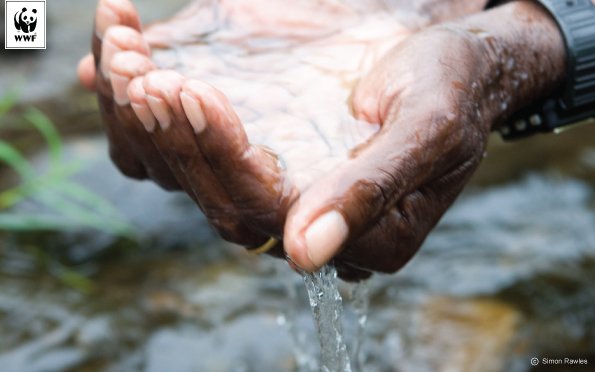 WWF South Africa tweet media