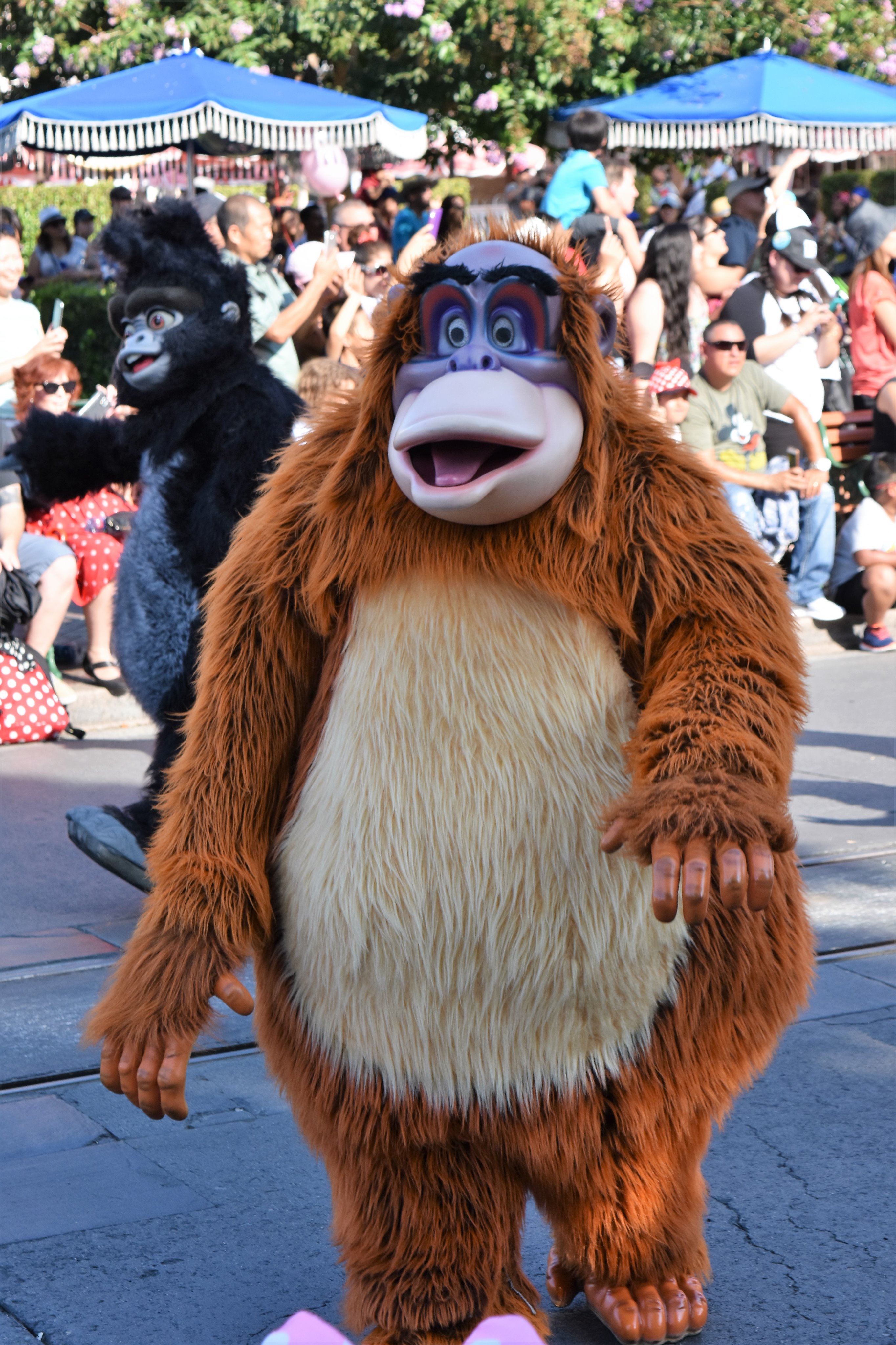 Naosuz Sur Twitter ミッキーのサウンドセーショナルパレード アナハイムの昼のパレード ライオンキング ジャングルの仲間たち アナハイム ディズニー ライオンキング シンバ ターク キングルイ ディズニーランド ミッキーのサウンド T Co