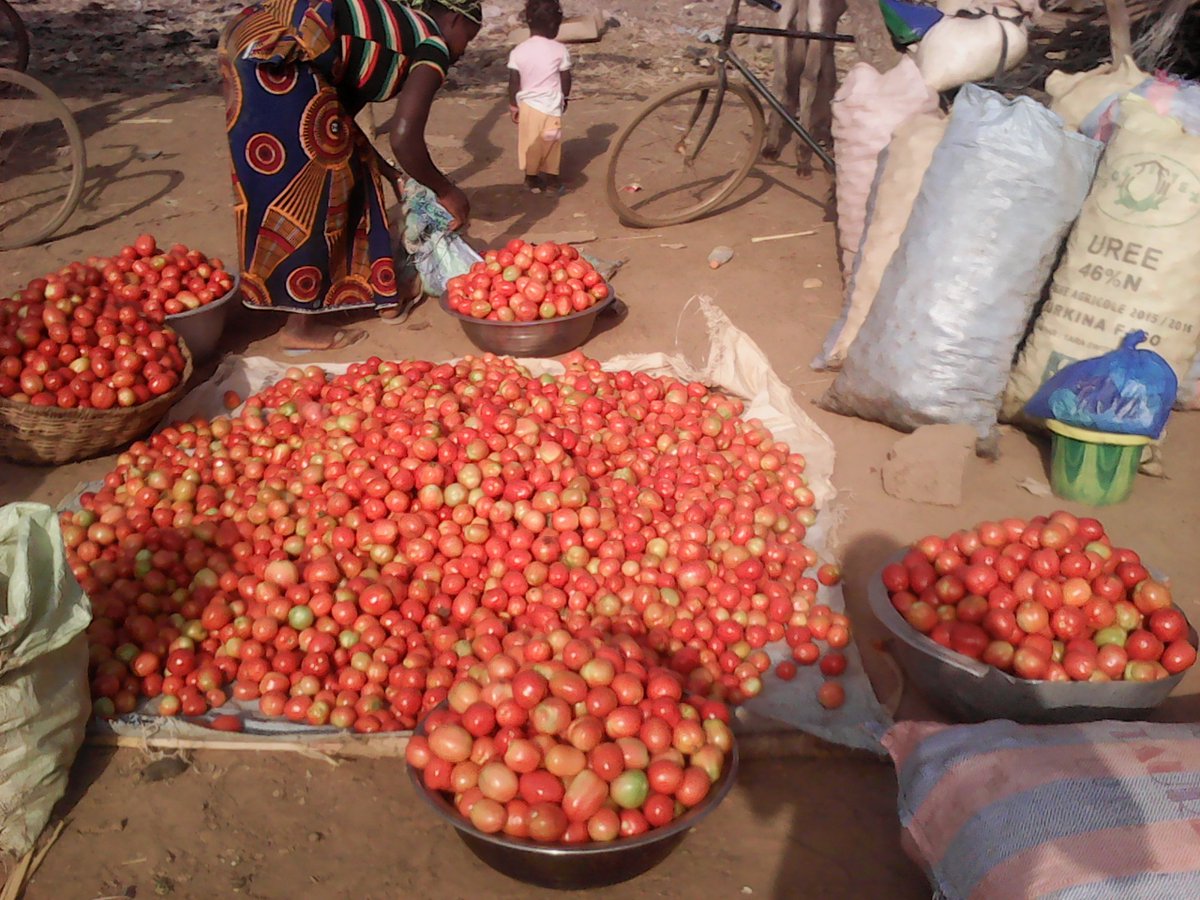 Potentialités agro-alimentaire: De la tomate produite en quantité et en qualité #RebrandingBurkina