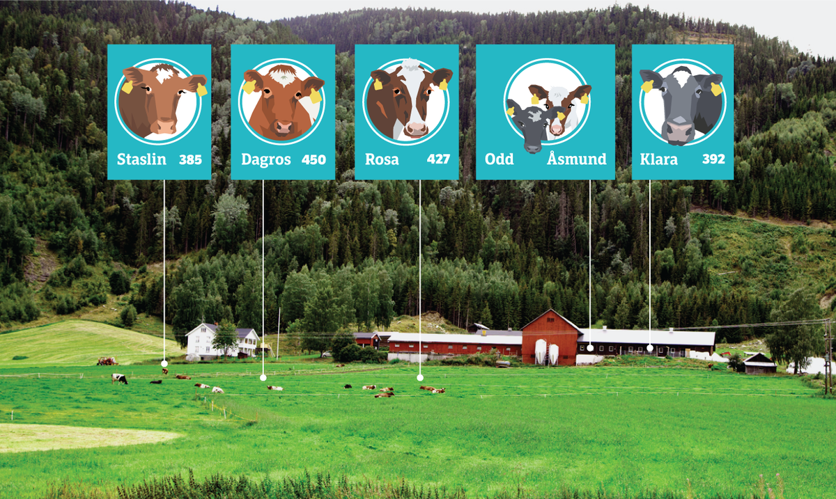NRK tweet media